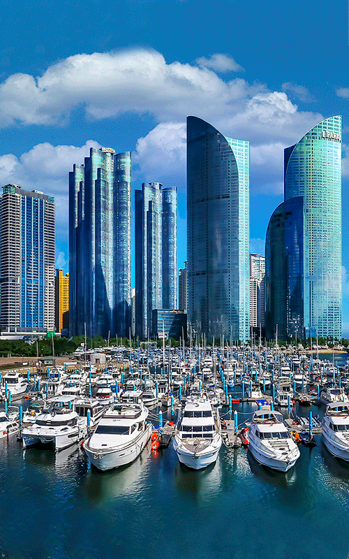 Busan City and IDC