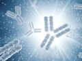 Prestige Biopharma Secures U.S. Patent for Novel Anticancer Antibody PBP1710