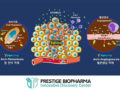Prestige Biopharma Secures Japanese Patent for Antibody Drug Candidate PBP1710 Targeting Solid Tumors