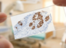 Prestige Biopharma IDC Publishes IHC-Based PAUF Diagnostic Platform Study in International Journal