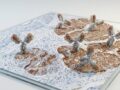 Prestige Biopharma Initiates Development of PAUF-Based Diagnostic Kit for Pancreatic Cancer