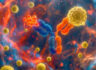 Prestige Biopharma IDC Publishes Preclinical Results for Bispecific Antibody IDC007, Targeting Immunotherapy Side Effects