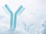Prestige Biopharma IDC CEO Ko Sang-seok Purchases Company Shares on the Open Market